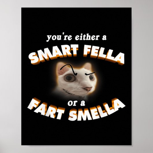 Je Bent Een Slimme Vent Of Een Scheet Stinker Meme Poster (Voorkant)