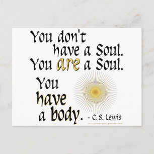 Je bent een sol... briefkaart