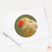 Je bent een ster. Finch Ronde Sticker (Envelop)