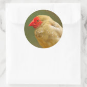 Je bent een ster. Finch Ronde Sticker (Tas)