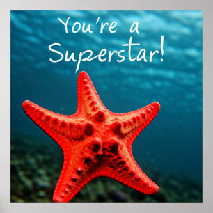 Je bent een superster! poster