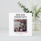 Je bent een Valentijnse grappige kat pun-naam Feestdagenkaart (Staand voorkant)