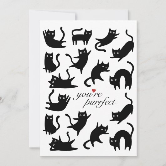 JE BENT EEN VOLMAAKT GELUKKIGE ZWARTE KAT FEESTDAGENKAART (Voorkant)
