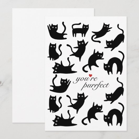 JE BENT EEN VOLMAAKTE GELUKKIGE ZWARTE KAT FEESTDAGENKAART (Voorkant / Achterkant)