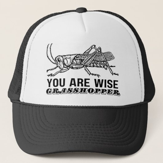 JE BENT EEN WIJZE SPRINKHAAN TRUCKER PET (Voorkant)