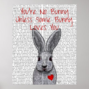 Je bent geen Bunny Poster