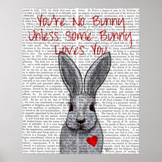 Je bent geen Bunny Poster (Voorkant)