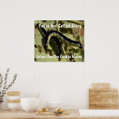 Je bent geen Catfish Crazy Catalpa Worms Poster (Keuken)