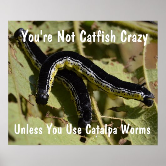 Je bent geen Catfish Crazy Catalpa Worms Poster (Voorkant)
