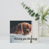 Je bent gek op een sukkel die je mist. briefkaart (Staand voorkant)