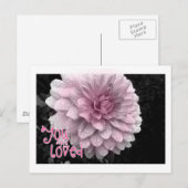 je bent geliefd briefkaart (Voorkant / Achterkant)