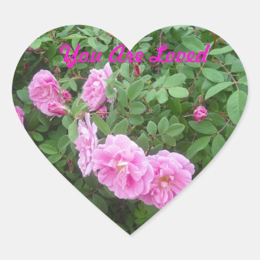 Je bent geliefd Roos Sticker (Voorkant)