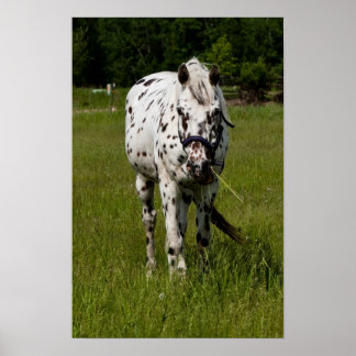 Je bent gescand poster