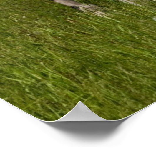 Je bent gescand poster (Hoek)