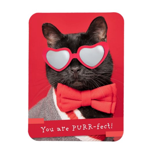 Je bent GESPONNEN-fect Cute Cat Magneet (Verticaal)