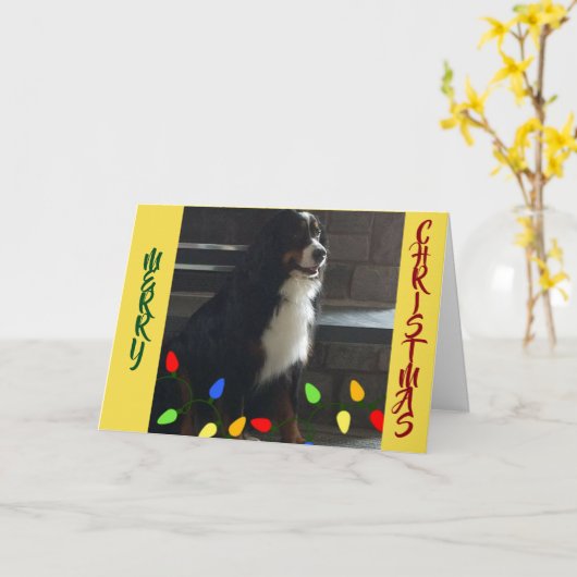 JE BENT HET *LICHT VAN MIJN LEVEN* KERST KAART (Gele Bloem)