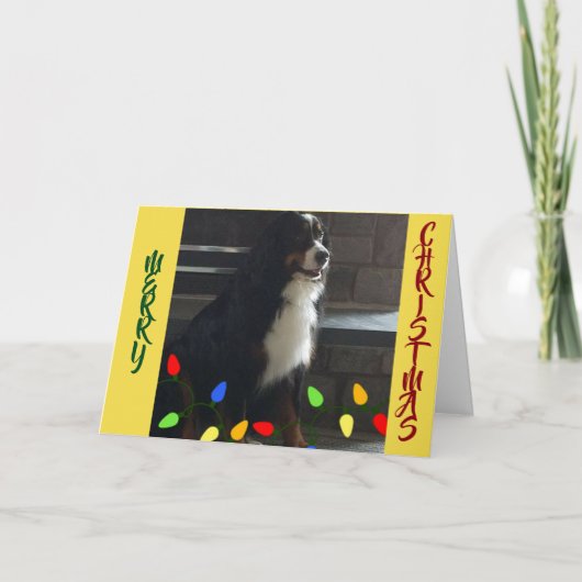 JE BENT HET *LICHT VAN MIJN LEVEN* KERSTFEEST KAART (Voorkant)
