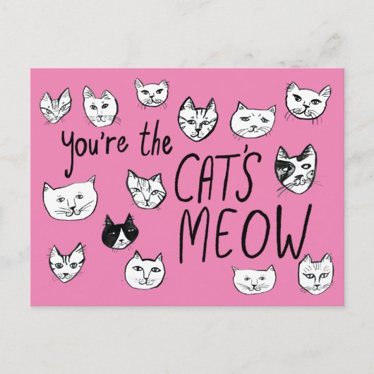 JE BENT HET MEOW Kittens Briefkaart VAN DE KAT (Voorkant)