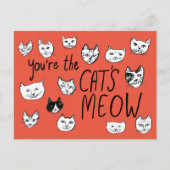 JE BENT HET MEOW Kittens Briefkaart VAN DE KAT (Voorkant)
