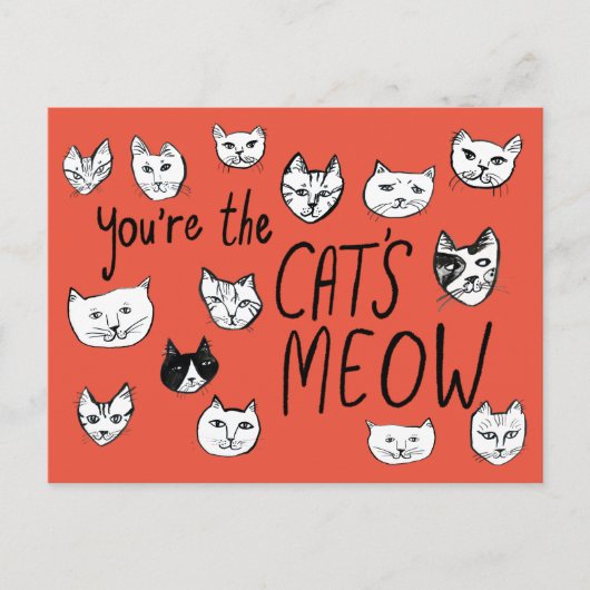 JE BENT HET MEOW Kittens Briefkaart VAN DE KAT (Voorkant)
