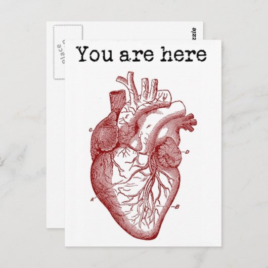 Je bent hier in mijn hart briefkaart (Voorkant / Achterkant)