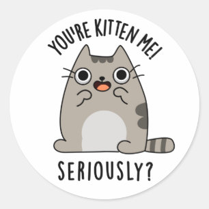 Je bent Kitten me serieus grappig Cat Pun Ronde Sticker