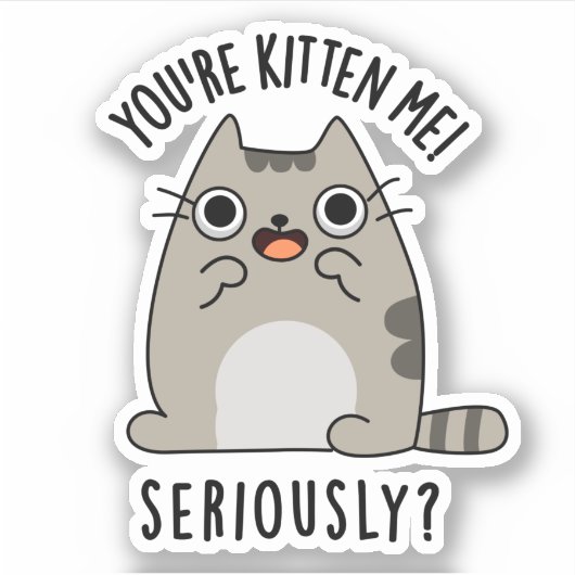 Je bent Kitten me serieus grappig Cat Pun Sticker (Voorkant)