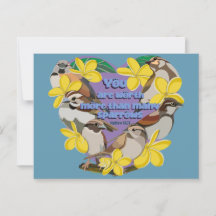 Je bent meer waard dan veel mussen