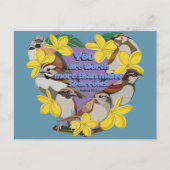 Je bent meer waard dan veel mussen briefkaart (Voorkant)