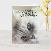 Je bent meowvelous verjaardag Kaart (Gele Bloem)