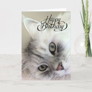 Je bent meowvelous verjaardag Kaart