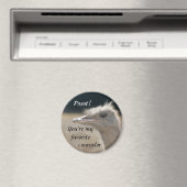 Je bent mijn favoriete adviseur - magneet (Insitu (Vaatwasser))