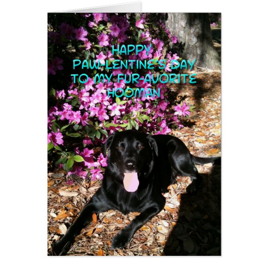 Je bent mijn favoriete Kaart van Hooman Valentijns (Voorkant)