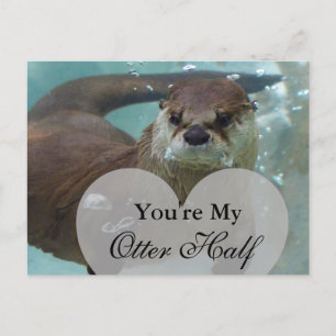 Je bent mijn Otter Half Brown River Otter zwemmen Briefkaart