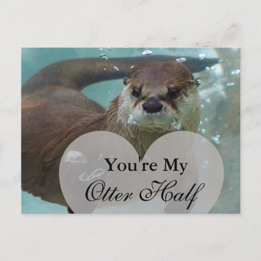 Je bent mijn Otter Half Brown River Otter zwemmen Briefkaart (Voorkant)