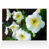 JE BENT MIJN VALENTIJN BEAUTY-kaart (Binnen Horizontaal (Boven))