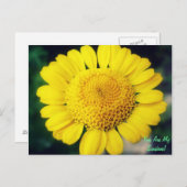 Je bent mijn zonneschijn. briefkaart (Voorkant / Achterkant)