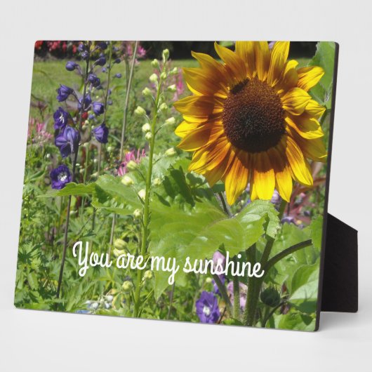 Je bent mijn zonneschijn fotoplaat (Zijkant)