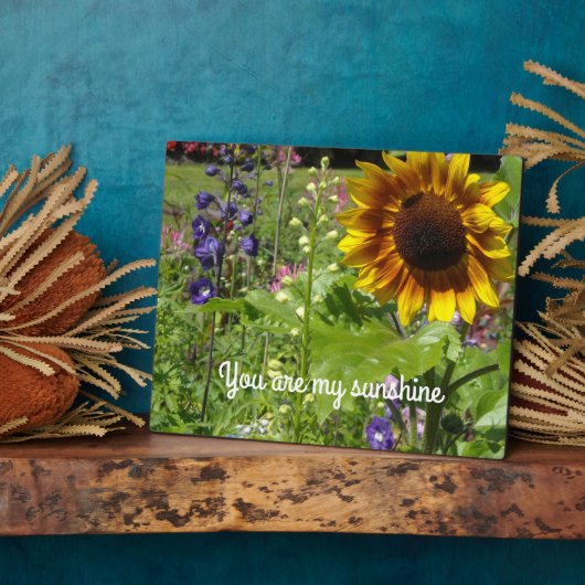 Je bent mijn zonneschijn fotoplaat (Zijkant)