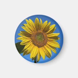 Je bent mijn zonneschijn... magneet