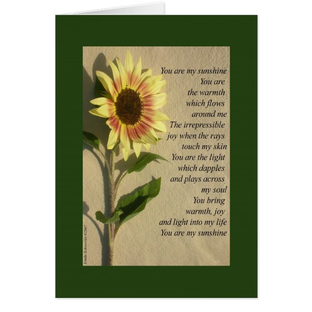 Je bent mijn zonneschijnvers. (Voorkant)