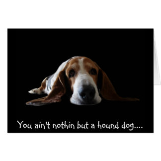 Je bent niet alleen een hond