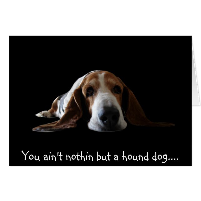 Je bent niet alleen een hond (Voorkant Horizontaal)