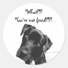 Je bent niet vast ronde sticker