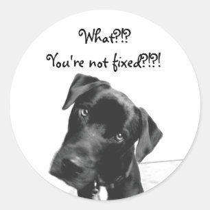 Je bent niet vast ronde sticker