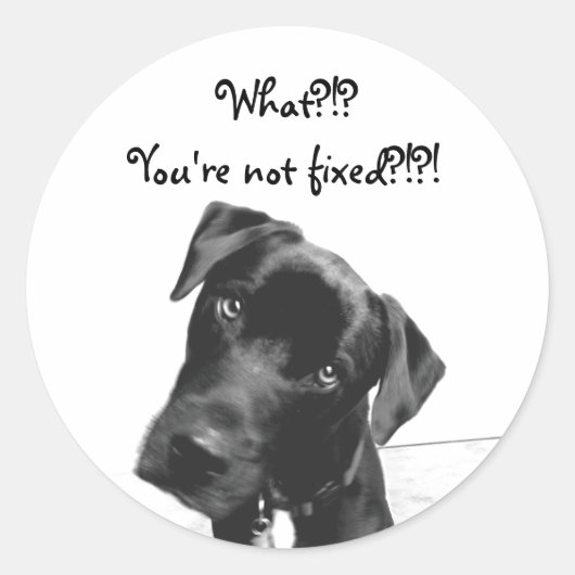 Je bent niet vast ronde sticker (Voorkant)