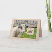 "Je bent nog geen oude geit"/Gefeliciteerd Kaart (Voorkant)