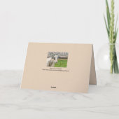 "Je bent nog geen oude geit"/Gefeliciteerd Kaart (Achterkant)