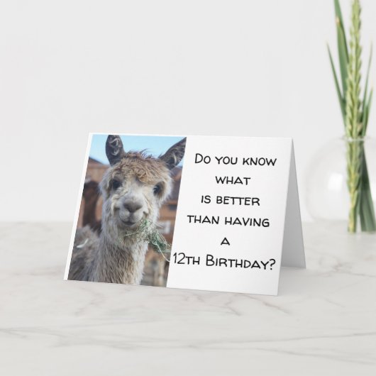 "JE BENT NU EEN *TIENER* GELUKKIGE 13E VERJAARDAG KAART (Voorkant)