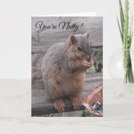 Je bent Nutty en ik vind het leuk. | Funny Squirre Kaart